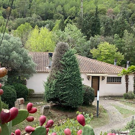 La Vinya De Mas Pujol Villa Súria Kültér fotó