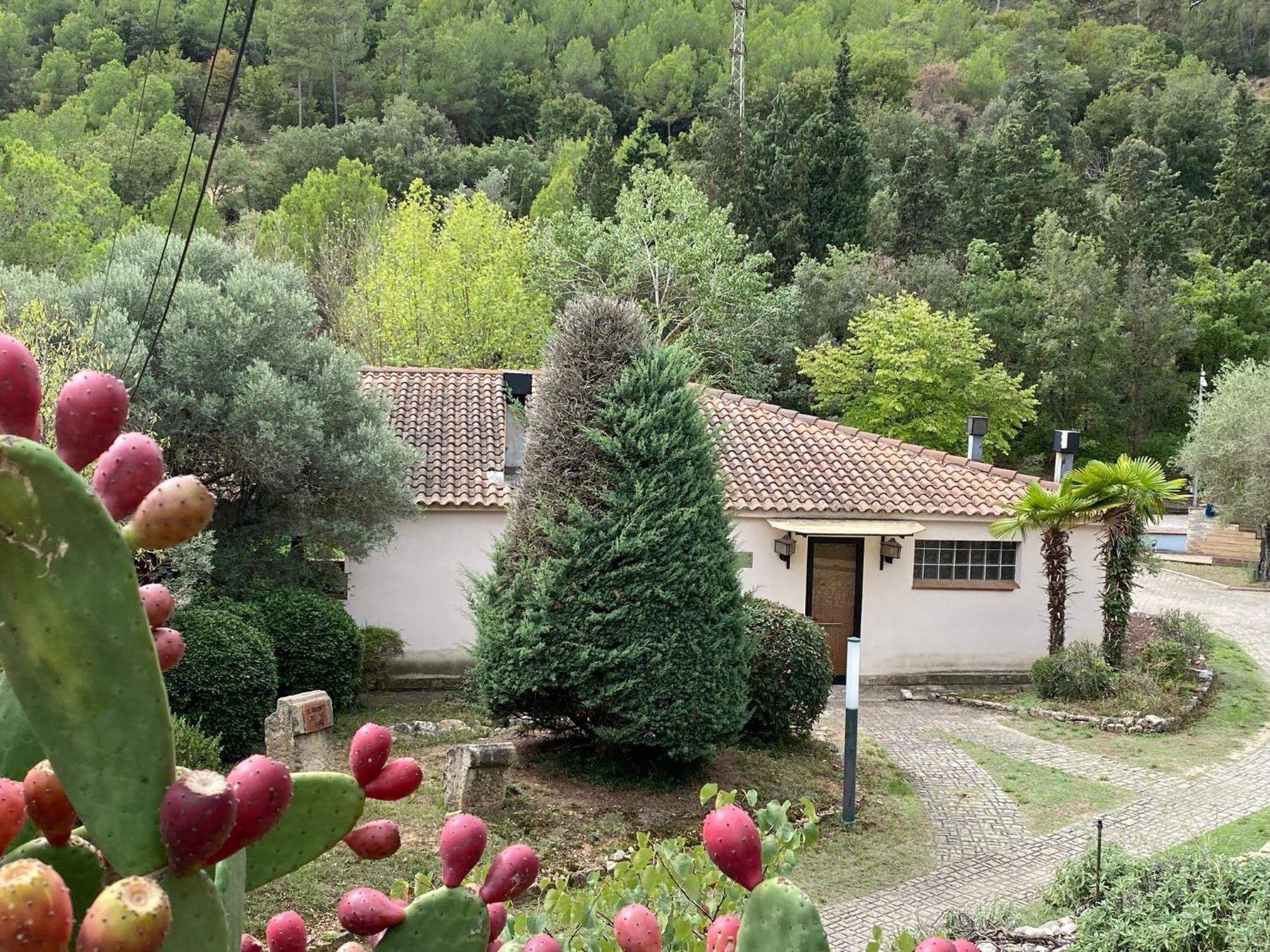 La Vinya De Mas Pujol Villa Súria Kültér fotó
